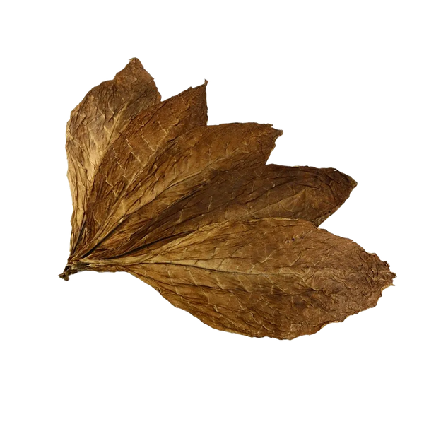 Feuilles de Tabac - Kentucky Brun